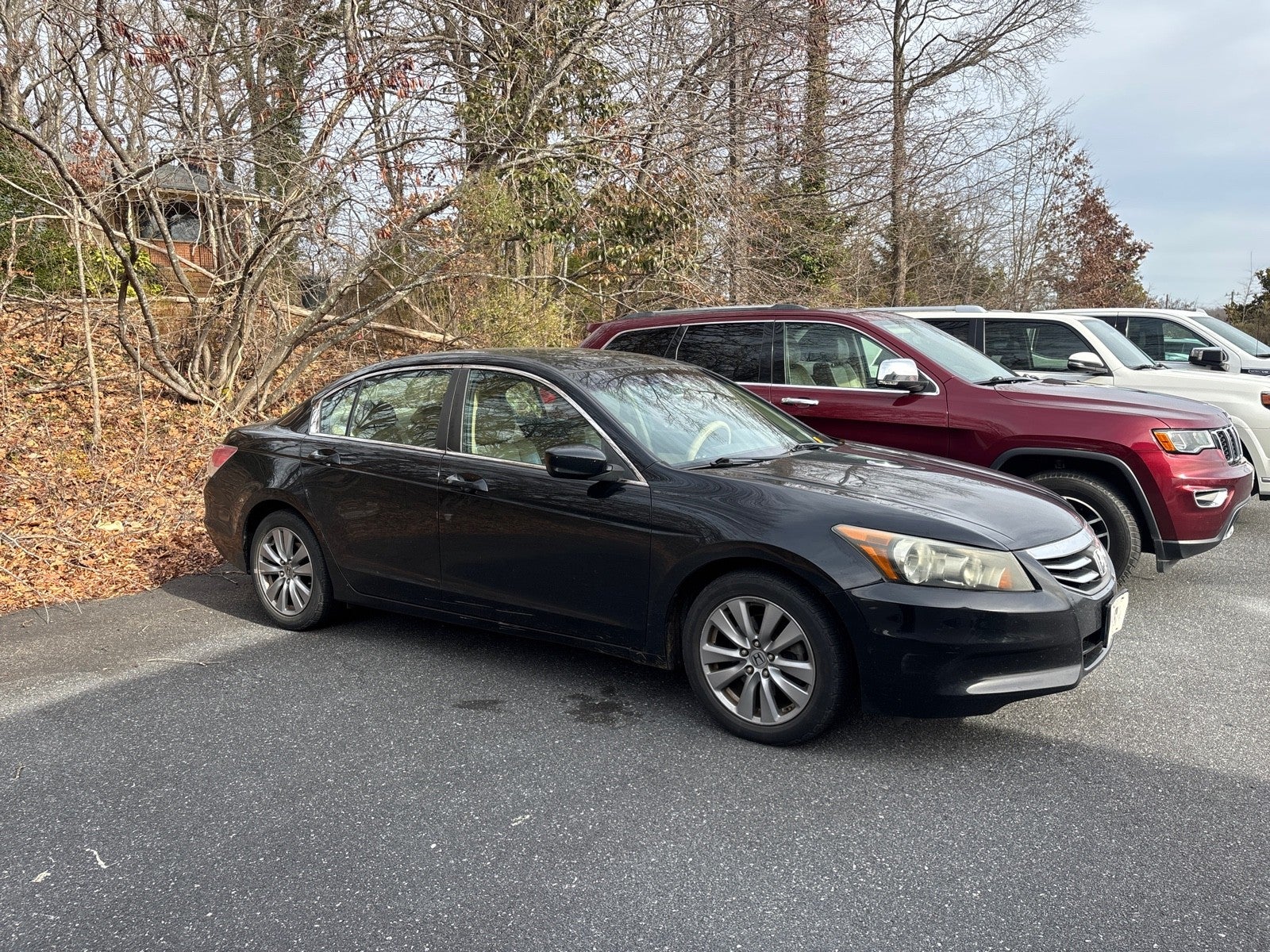 2011 Honda Accord Sdn EX-L