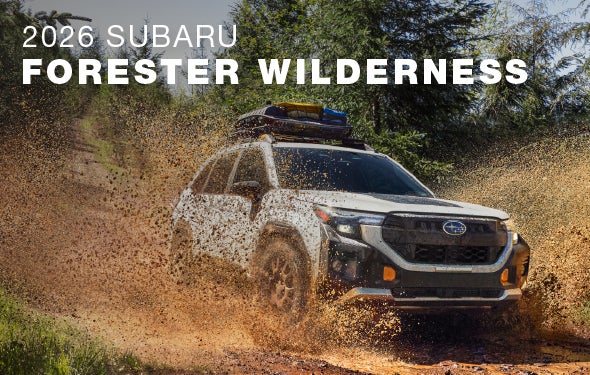 2026 Subaru Forester Wilderness | Vann York Subaru in Asheboro NC