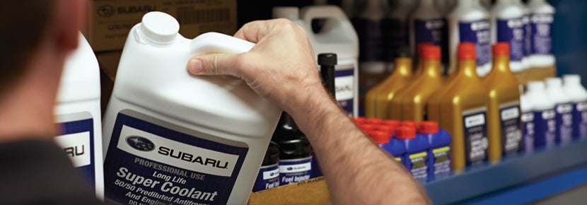 Picture of Subaru Super Coolant. | Vann York Subaru in Asheboro NC
