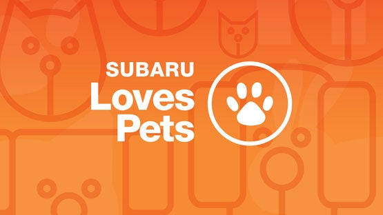 Vann York Subaru in Asheboro NC