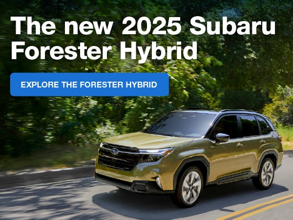 Forester Hybrid